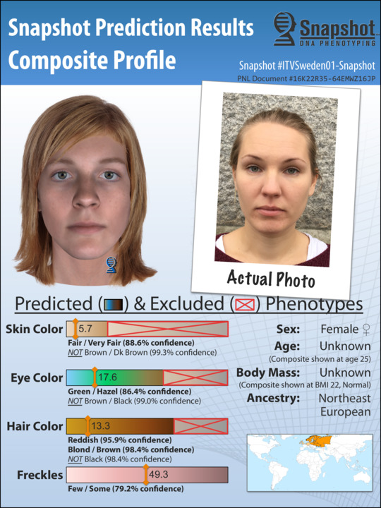 Example Snapshot Composite