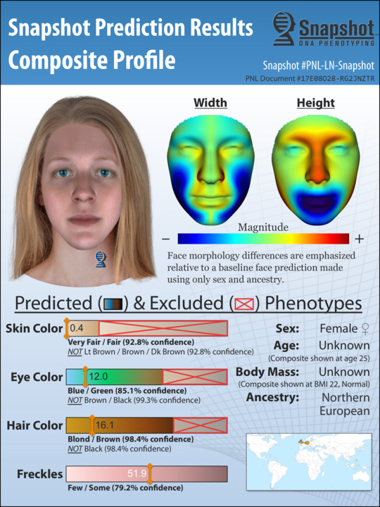 Sample Snapshot Composite