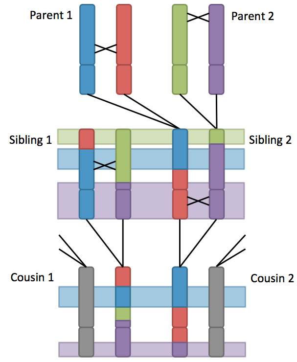 Genetic Genealogy - Parabon® Snapshot® DNA Analysis Service