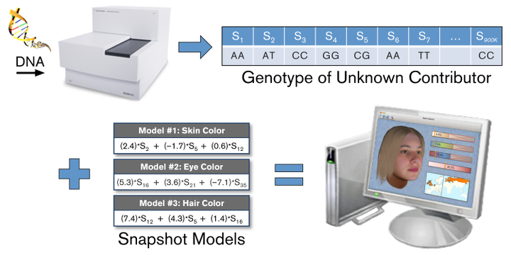 Mining and Modeling Genotype Data