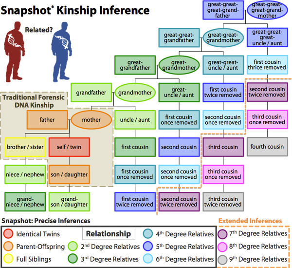 Dna Cousin Chart